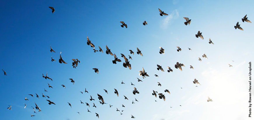 Cape Symphony presents Beethoven on the Cape in September 2019